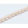 Shell Pearl Beads Strands SP8MM218-1