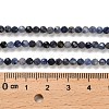 Natural Sodalite Beads Strands G-B107-A03-05-5