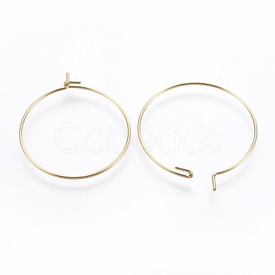 316 Surgical Stainless Steel Hoop Earring Findings STAS-P221-01C-G-1