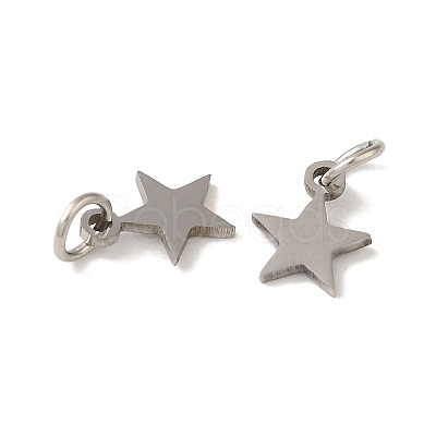 Non-Tarnish 201 Stainless Steel Charms STAS-E217-25B-P-1