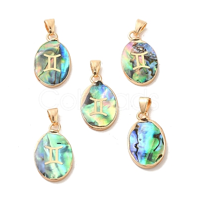 Constellation Natural Paua Shell Pendants KK-P265-01G-10-1