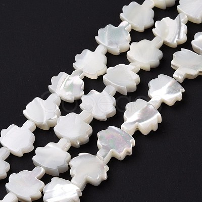 Natural Trochid Shell Beads Strands SSHEL-G023-09B-1