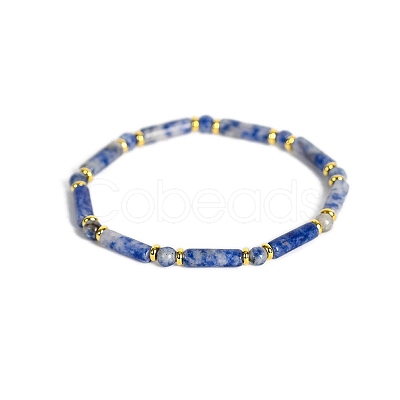 Natural Blue Spot Jasper Bead Stretch Bracelets PW-WG50993-03-1