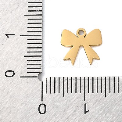 304 Stainless Steel Charms STAS-S138-02G-01-1