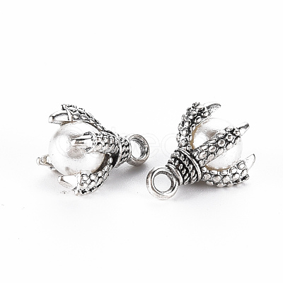 Tibetan Style Alloy Charms PALLOY-S120-249C-RS-1