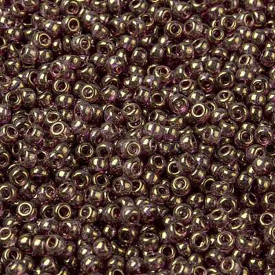 MIYUKI Round Rocailles Beads X-SEED-G008-RR2448-1