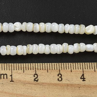 Dyed Natural Freshwater Shell Beads Strands BSHE-G039-07N-1