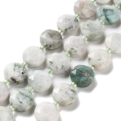 Natural Tree Agate Beads Strands G-NH0004-017-1