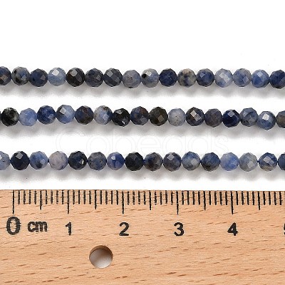 Natural Sodalite Beads Strands G-B107-A03-05-1