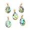 Constellation Natural Paua Shell Pendants, Golden Tone Brass Oval Charms, Gemini, 22x13x3~3.5mm, Hole: 6x3mm