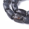 Natural Labradorite Beads Strands G-L499-01-2