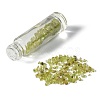 Natural Peridot Chip Bead Roller Ball Bottles AJEW-H101-01A-3