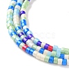 Handmade Czech Lampwork Beads Strands LAMP-L078-008M-3