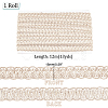 Polyester Braided Lace Trim OCOR-WH0078-09D-2