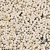 11/0 Grade A Glass Seed Beads SEED-S030-1012-2