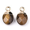 Natural Tiger Eye Charms G-N326-58C-3