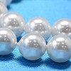 Round Shell Pearl Bead Strands X-BSHE-L011-6mm-A013-4