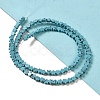 Dyed Synthetic Turquoise Beads Strands G-G085-B32-01-2