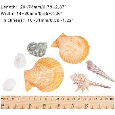 Sea Shell Beads SSHEL-PH0002-19-1