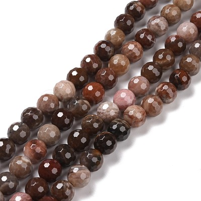 Natural Petrified Wood Beads Strands G-E571-27B-1