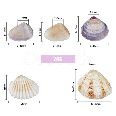 SUPERFINDINGS 5 Styles Shell Beads SHEL-FH0001-22-1