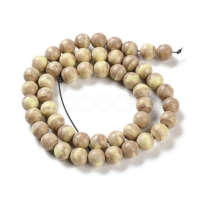 Natural Rainbow Alashan Agate Beads Strands G-NH0022-A05-02-1