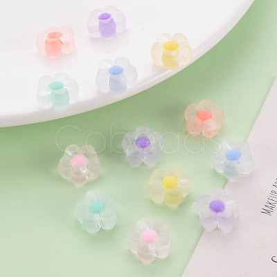 Transparent Acrylic Beads TACR-S152-06C-1