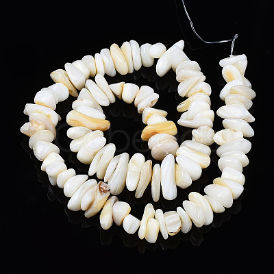 Natural Trochid Shell/Trochus Shell Beads Strands X-SHEL-S258-080-A01-1