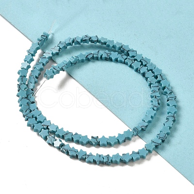 Dyed Synthetic Turquoise Beads Strands G-G085-B32-01-1