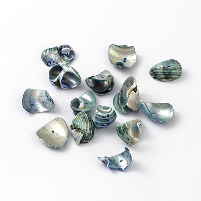 Natural Sea Shell Beads BSHE-S002-1-1