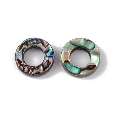 Natural Abalone Shell/Paua Shell Beads SSHEL-M021-03-1