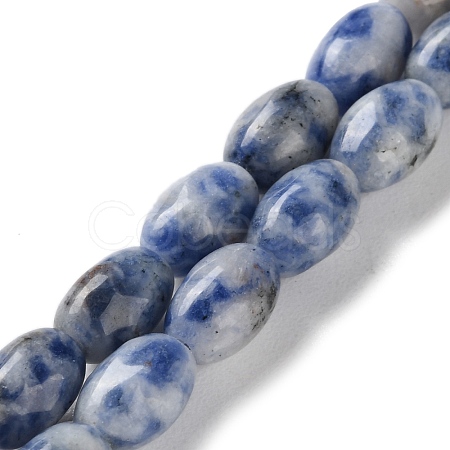 Natural Blue Spot Jasper Beads Strands G-I369-B01-01-1