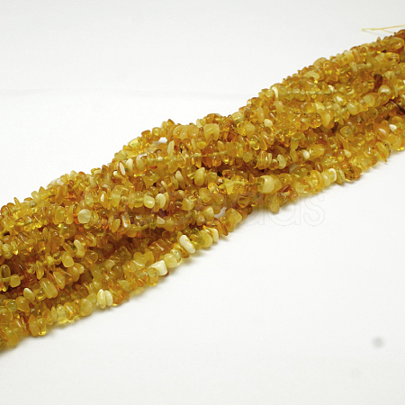 Natural Amber Chip Beads Strands G-E333-01B-1