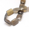 Faceted Rectangle Natural Grey Agate Beads Strands X-G-R304-08-2