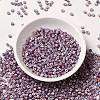 6/0 Opaque Colours Seep Glass Seed Beads SEED-F003-04A-11-2