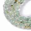 Natural Prehnite Beads Strands G-I247-24A-3