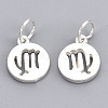 925 Sterling Silver Charms STER-T002-44S-06-2