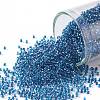 TOHO Round Seed Beads X-SEED-TR15-0188-1