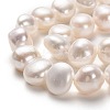 Natural Cultured Freshwater Pearl Beads Strands PEAR-L033-49-01A-2