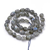 Natural Labradorite Beads Strands X-G-Q952-12-6x8-2
