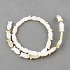Natural Sea Shell Beads Strands X-SSHEL-Q296-39-1