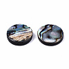 Natural Abalone Shell/Paua Shell Beads SSHEL-T014-14D-2