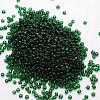 8/0 Glass Seed Beads SEED-J013-F8-17-2