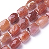 Natural Carnelian Beads Strands G-L499-03-1