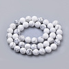 Natural Howlite Beads Strands G-S259-47-10mm-2