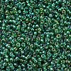MIYUKI Round Rocailles Beads X-SEED-G007-RR1016-3