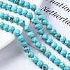 Synthetic Turquoise Beads Strands G-T108-64-4