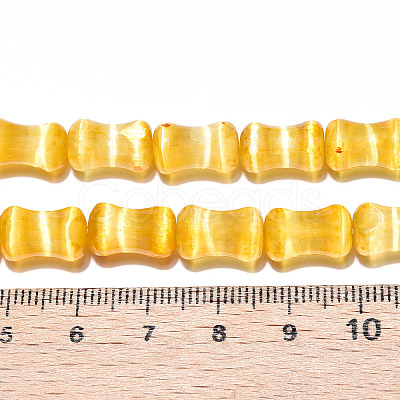 Dyed Natural Selenite Beads Strands G-T138-234C-1