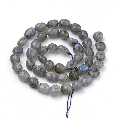 Natural Labradorite Beads Strands X-G-Q952-12-6x8-1