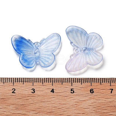 Transparent Acrylic Pendants OACR-H116-07A-1